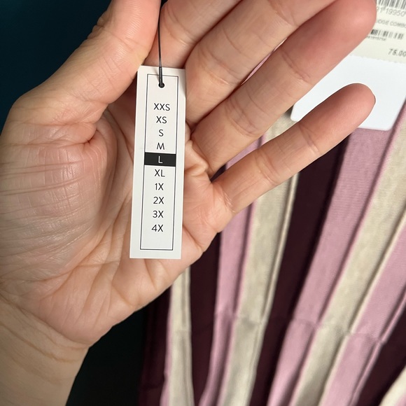 Leith dress from Nordstroms. Pink, burgundy, beige vertical striped midi dress - Picture 4 of 5